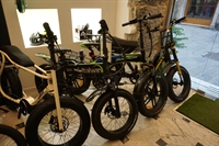 profitable established bike tourism - 2