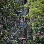 bocawina rainforest resort adventures - 3