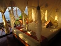 thriving eco resort dive - 3