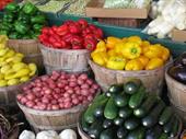 romanian vegetable processing unit