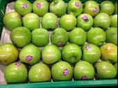 fruits et legumes vins
