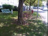 batiment a vendre
