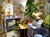 flower shop saint remy