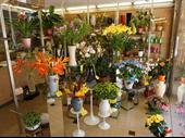flower shop bievres for