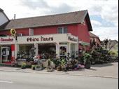 florist grandvillars for sale