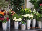flower shop valenciennes for