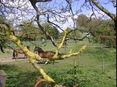 equestrian center guest houses