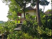 lush green bungalow resort