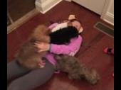 profitable puppy party business