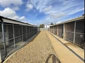luxury kennels cattery with