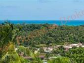 hilltop land overlooking wat