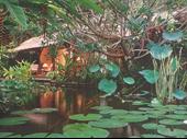 established boutique hotel karangasem