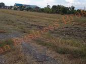 freehold land 53 5