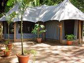 belize jungle luxury glamping