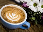 cafe coburg 4986605 for