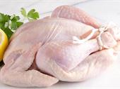 poultry clayton 5039243 for