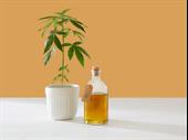 cbd company with creams