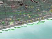 oceanfront eco-hotel project yucatan