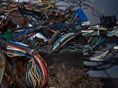 importer distributor of auto-electrcal