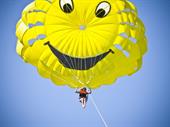 successful parasailing business for