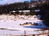 motel for sale cooba