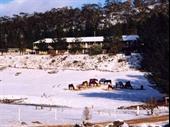 motel for sale cooba