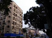 prime property eight floors