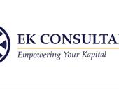 ek consultancy professional business