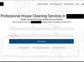 fantastic online cleaning business