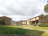 established farm with accommodation