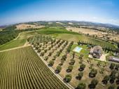 wine estate tuscany