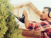 20264 hedge trimming business