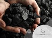 thermal coal resource new