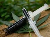 cannabis sole agency south