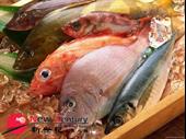 fresh fish preston 6462326