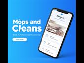 work from home cleaning