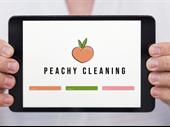 work from home cleaning