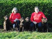 established pet food home