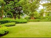 full garden services durban