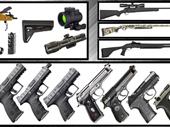ammo-firearms biz with great
