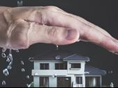 public adjuster business florida