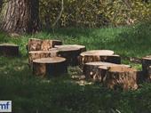 tree surgery associated trades