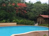 established belize river resort