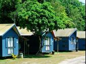 freehold tropical rainforest coastal