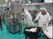 manufacture wholesale of organic