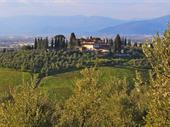 farm estate with vineyards