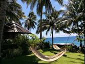 thriving eco resort dive
