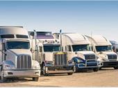dry bulk haulage based