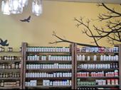 established chic health shop