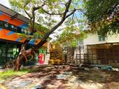 2 large stand-alone houses